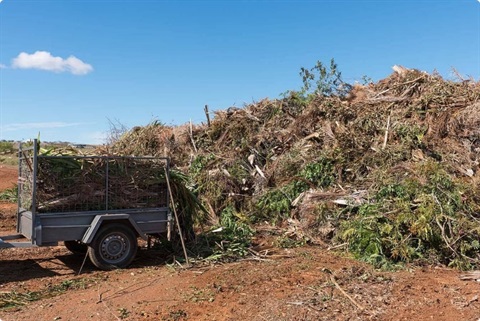 garden-waste-removal.jpg