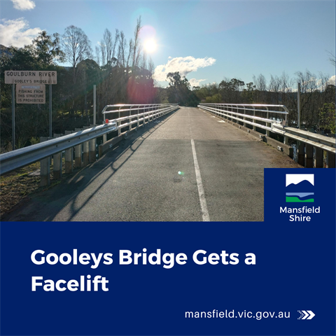 Gooleys Bridge.png