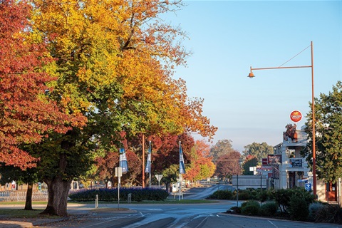 mansfield-autumncolour2021-1.jpg