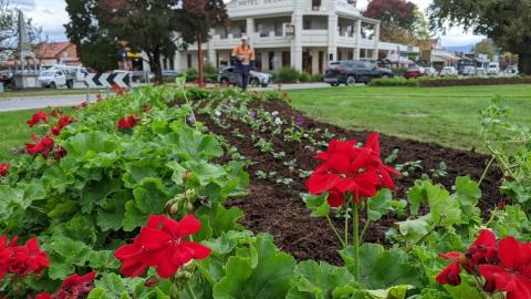 Roundabout garden - Garden bed.jpg