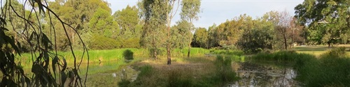 welands
